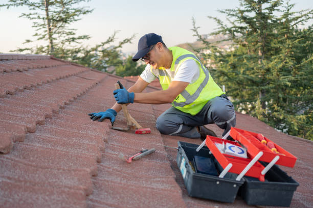 Best Metal Roofing Contractor  in Three Points, AZ