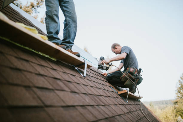 Best Roof Gutter Cleaning  in Three Points, AZ
